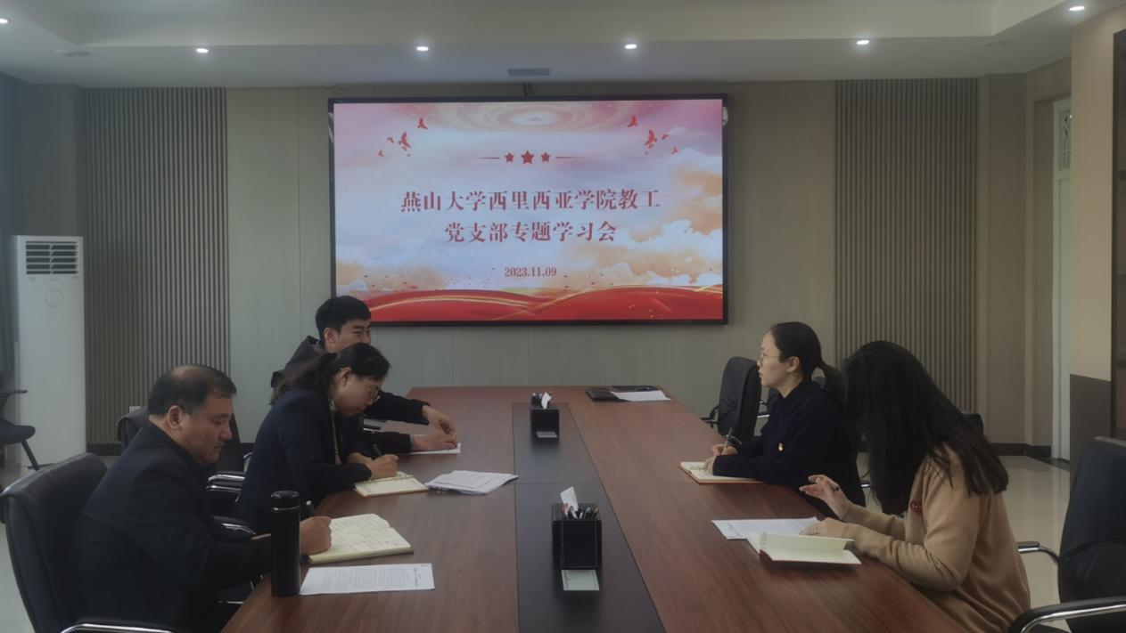 西里西亚学院教工党支部召开“三重一大”主题学习会