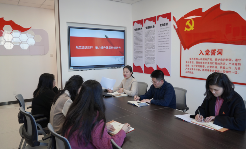 西里西亚智能科学与工程学院开展春季学期党务工作者培训